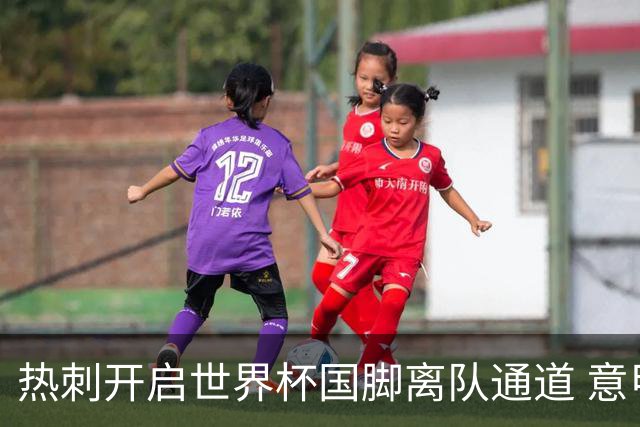热刺开启世界杯国脚离队通道 意甲冠军已接触谈判