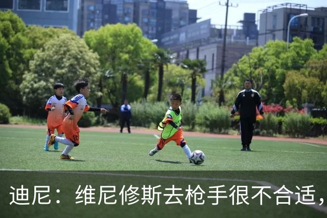 迪尼：维尼修斯去枪手很不合适，他的加盟会引发更衣室问题
